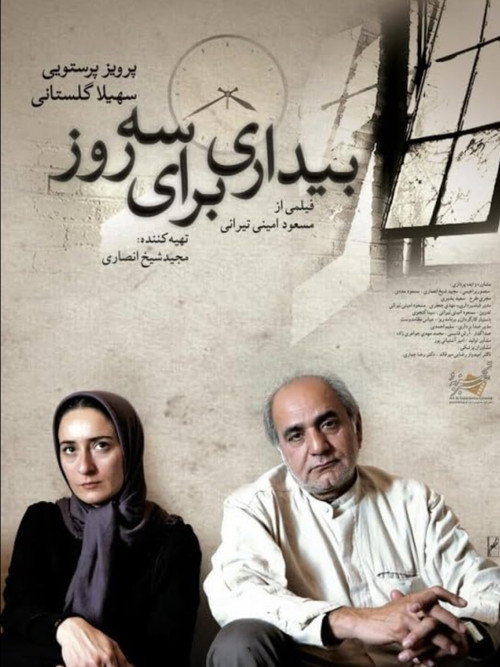 Movie poster for Awakening for Three Days