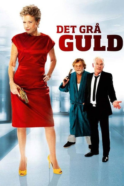 Movie poster for Grey Gold (2013)