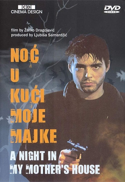 Movie poster for A Night at My Mother's House (1991)