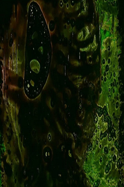 Movie poster for Tamper Oh No (Part II) (2010)