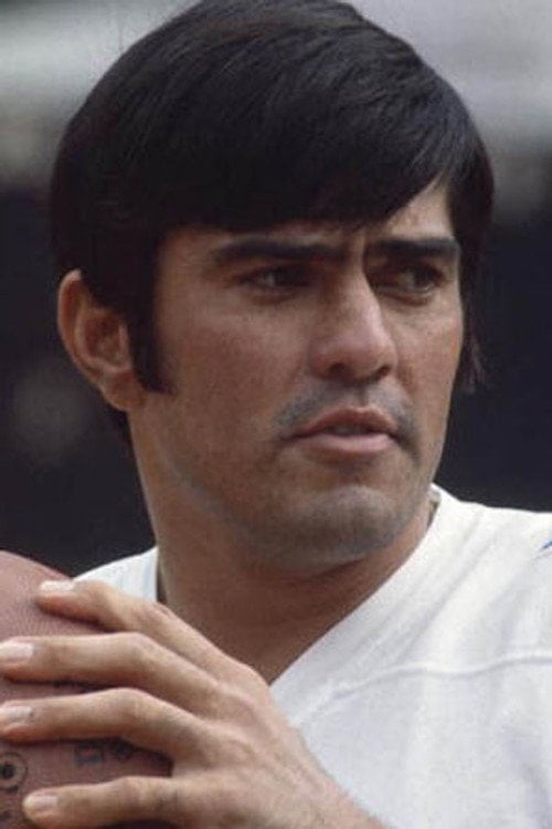 Photo of Roman Gabriel, Acting