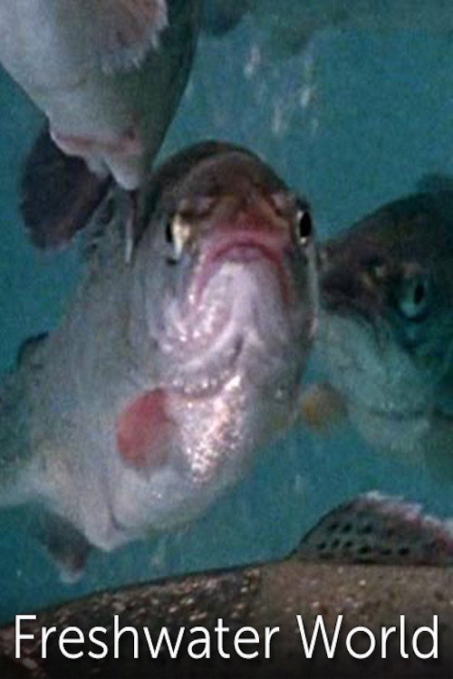 Movie poster for Freshwater World (1974)
