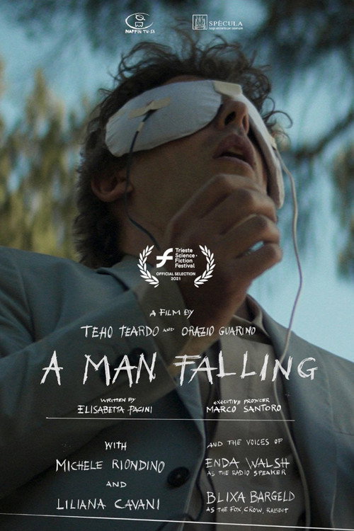 Movie poster for A Man Falling (2021)