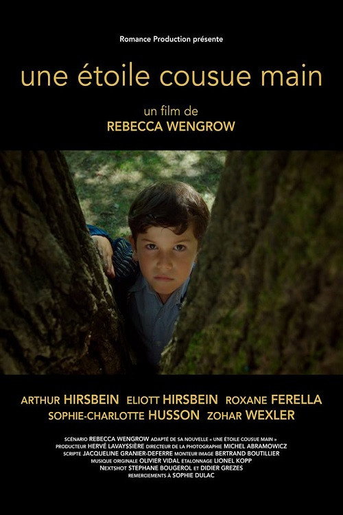 Movie poster for A Hand Sewn Star (2018)