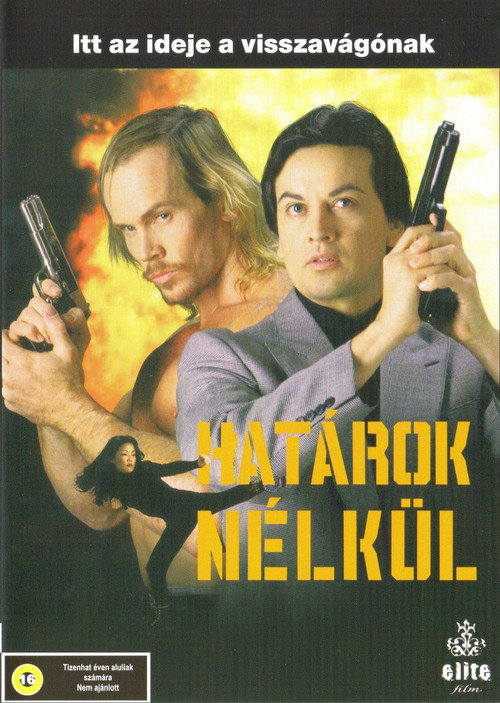 Movie poster for Without Limit (1995)