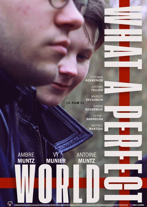 Movie poster for What a Perfect World (2026)