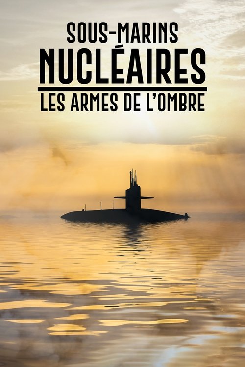 Movie poster for Sous-marins nucléaires  : Les Armes de l'ombre (2020)