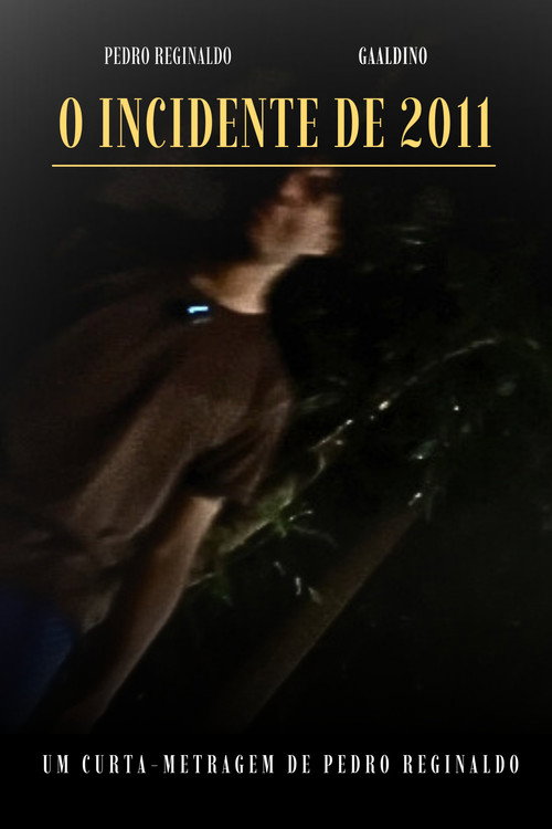Movie poster for O INCIDENTE DE 2011