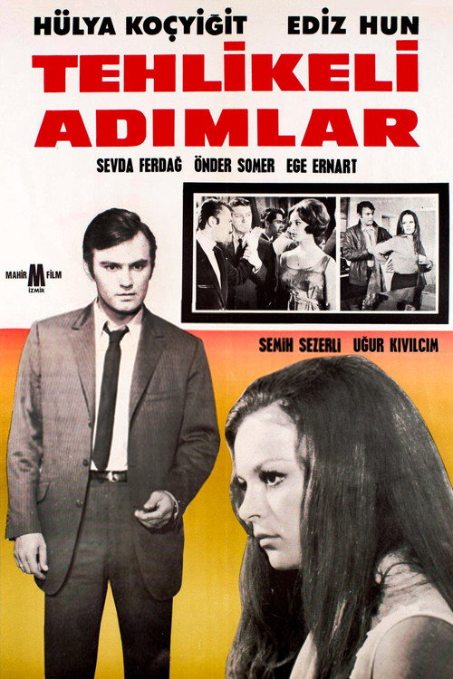 Movie poster for Tehlikeli Adımlar (1965)