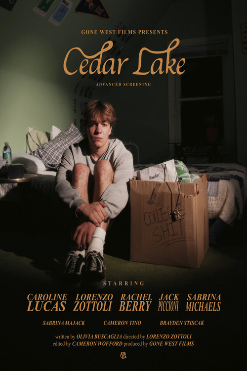 Movie poster for Cedar Lake (2026)