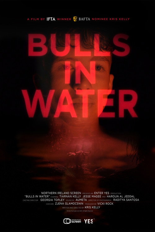 Movie poster for Bulls in Water (2025)