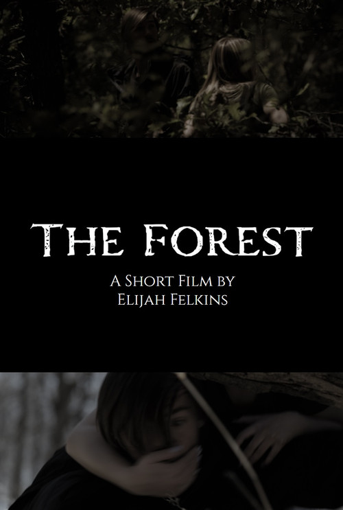 Movie poster for The Forest (2024)