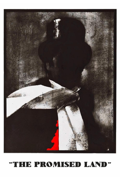 Movie poster for The Promised Land (1975)