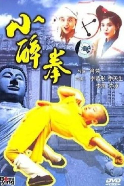 Movie poster for The Little Drunken Masters (1995)