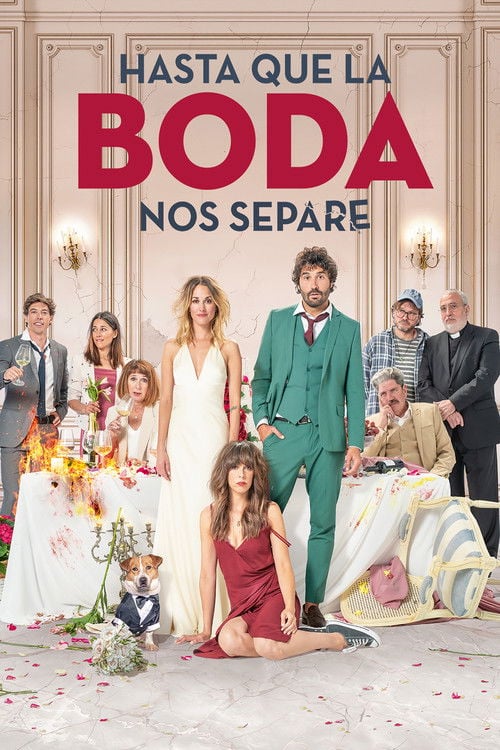Movie poster for The Wedding Unplanner (2020)