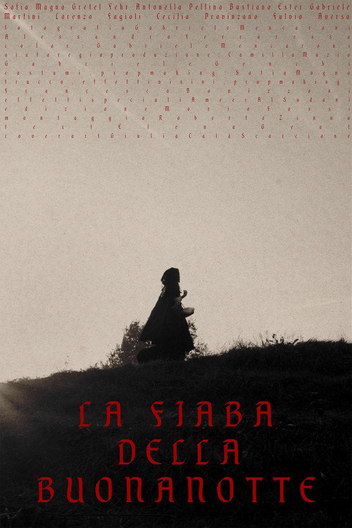 Movie poster for La Fiaba della Buonanotte
