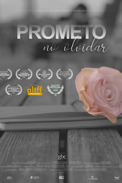 Movie poster for I Promise to Never Forget (2022)
