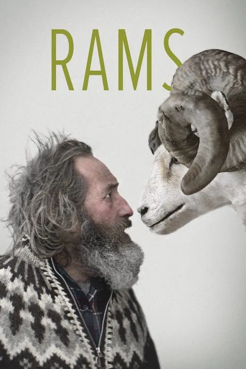Movie poster for Rams (2015)