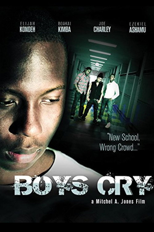 Movie poster for Boys Cry (2012)