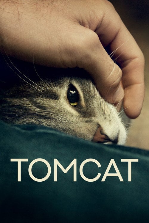 Movie poster for Tomcat (2016)