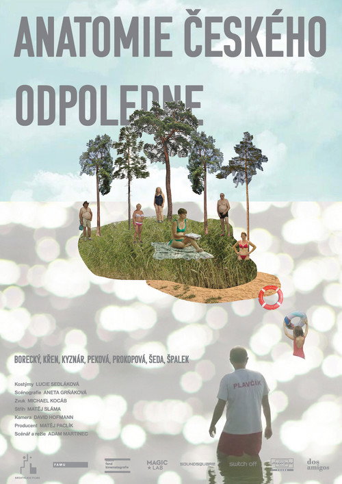 Movie poster for Anatomy of a Czech Afternoon (2021)