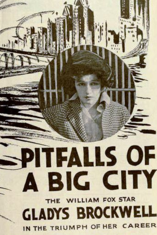 Movie poster for Pitfalls of a Big City (1919)