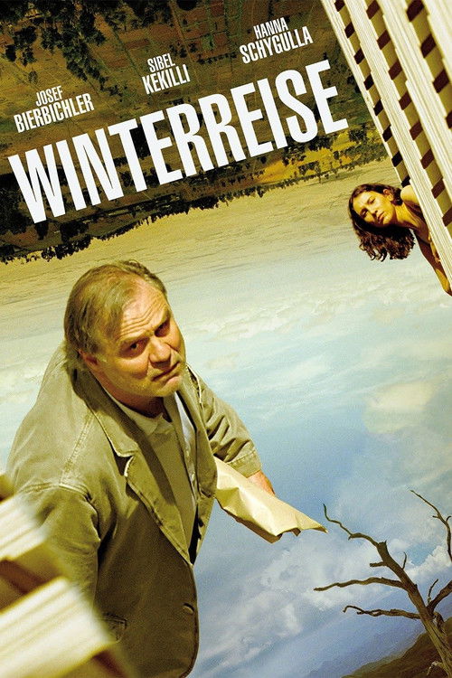 Movie poster for Winter Journey (2006)