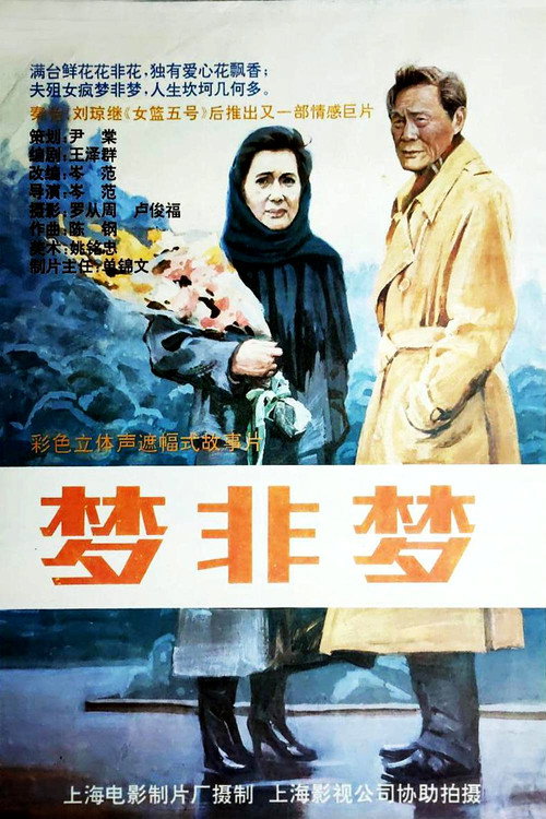 Movie poster for 梦非梦 (1993)