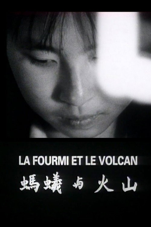 Movie poster for La fourmi et le volcan (1992)