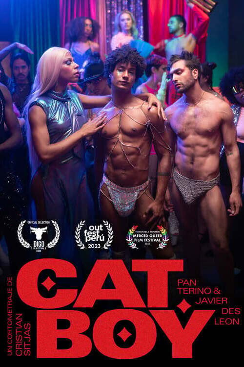 Movie poster for CatBoy (2023)