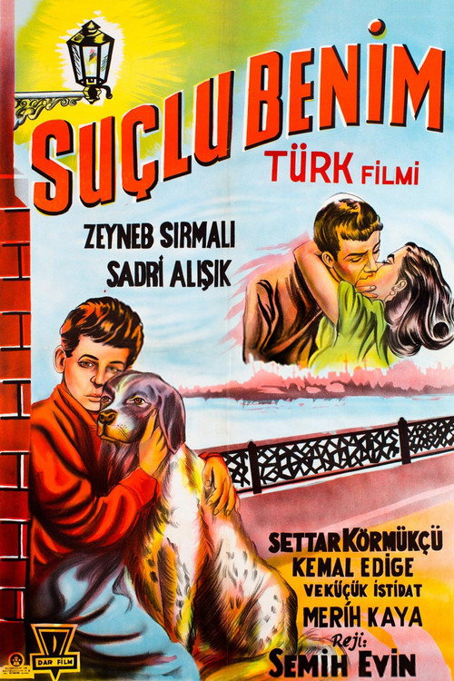 Movie poster for Suçlu Benim (1953)
