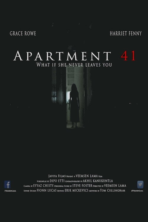 Movie poster for Apartment 41 (2015)