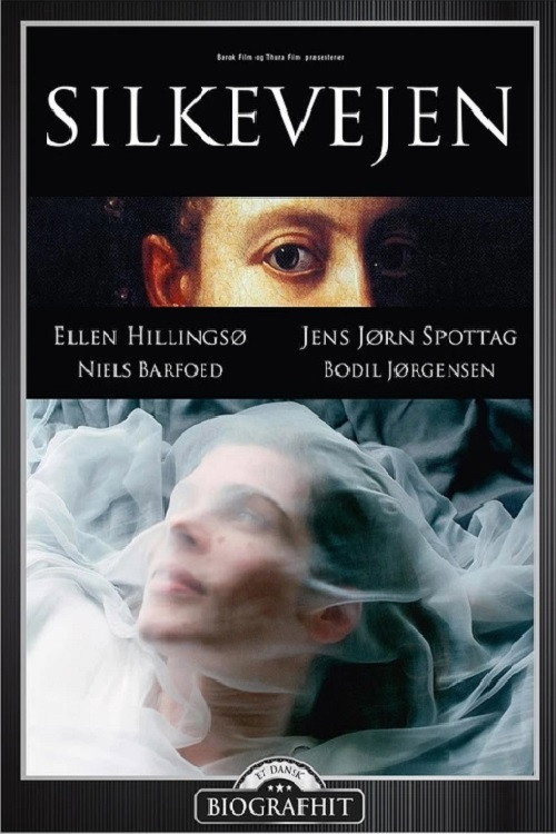 Movie poster for Silk Road (2004)