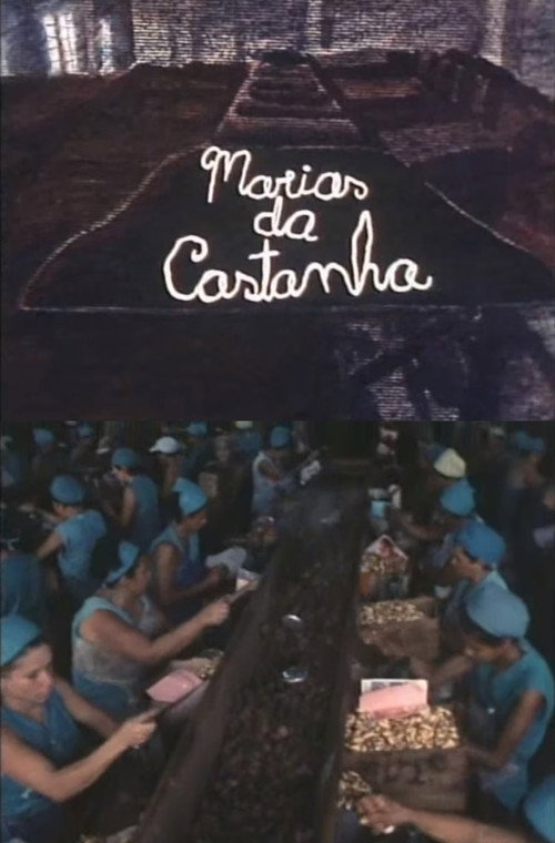 Movie poster for Marias da Castanha (1983)