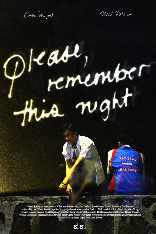 Movie poster for please, remember this night (2023)