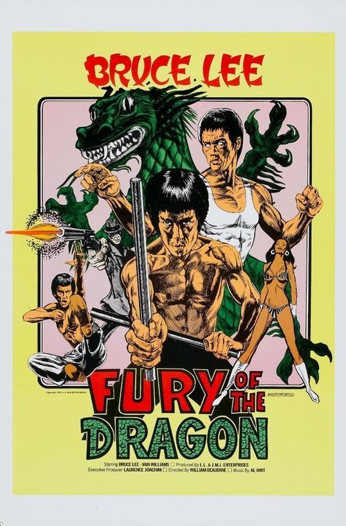 Movie poster for Fury of the Dragon (1976)