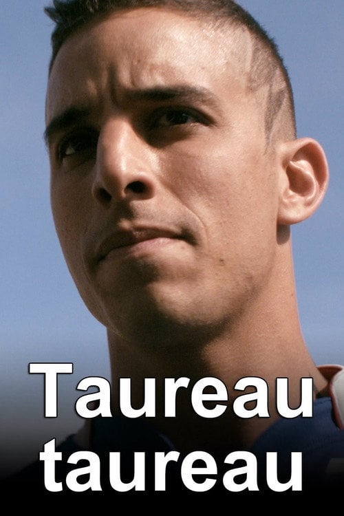 Movie poster for Taureau Taureau (2013)