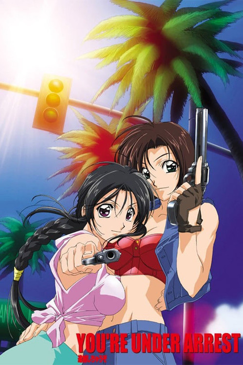 Movie poster for You're Under Arrest: No Mercy!! (2002)