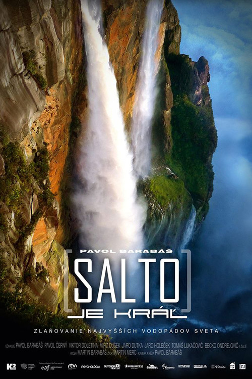 Movie poster for Salto je kráľ (2020)