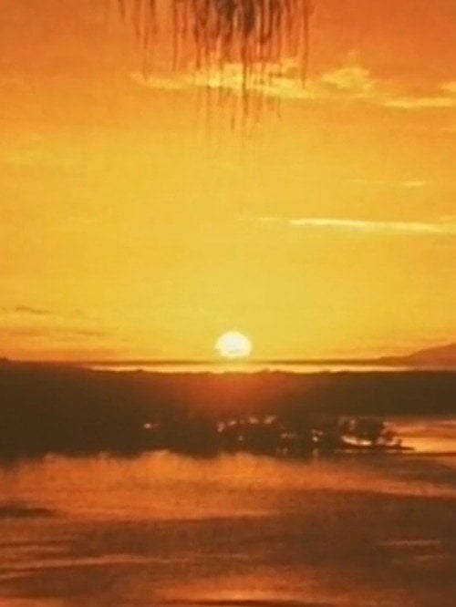 Movie poster for Artificial Paradise (1975)