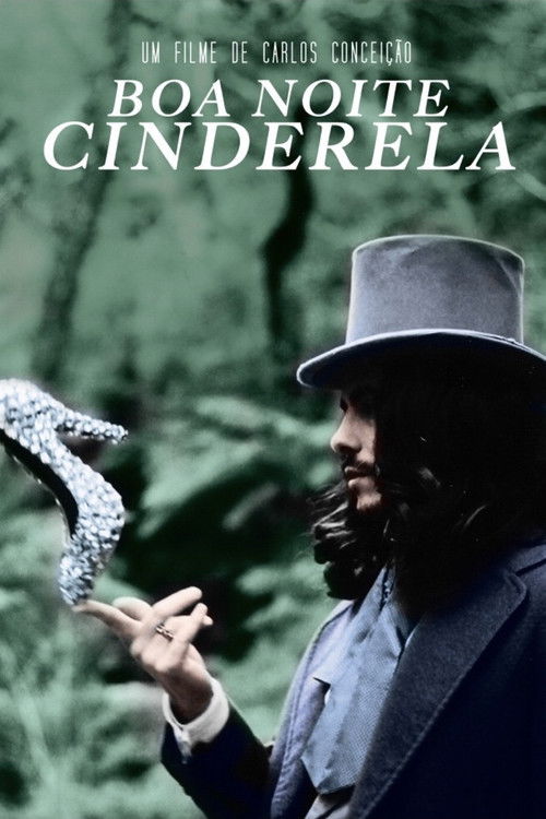 Movie poster for Goodnight Cinderella (2014)