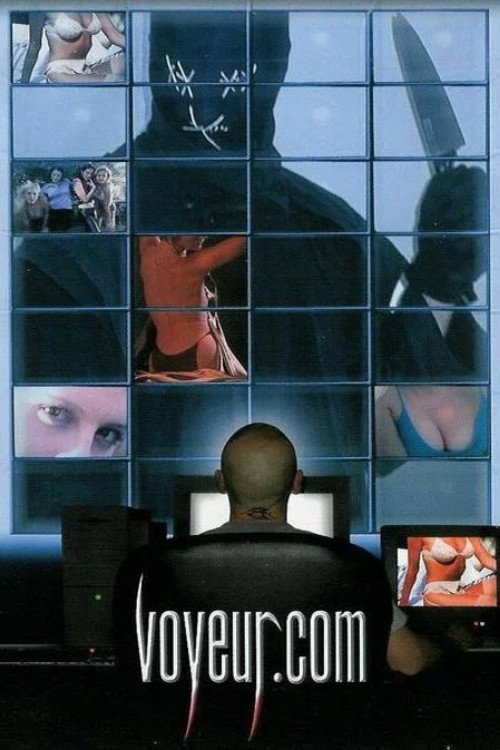 Movie poster for Voyeur.com (2000)