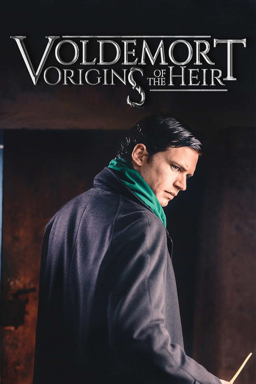 Movie poster for Voldemort: Origins of the Heir (2018)