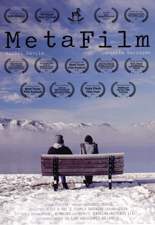 Movie poster for MetaFilm (2017)