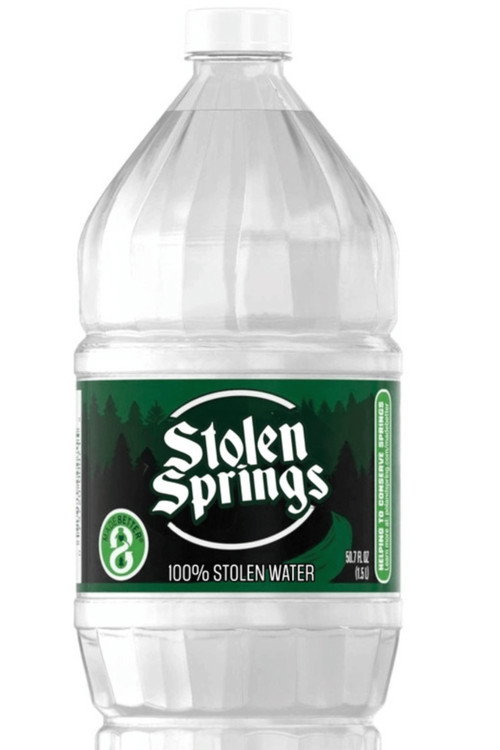 Movie poster for Stolen Springs