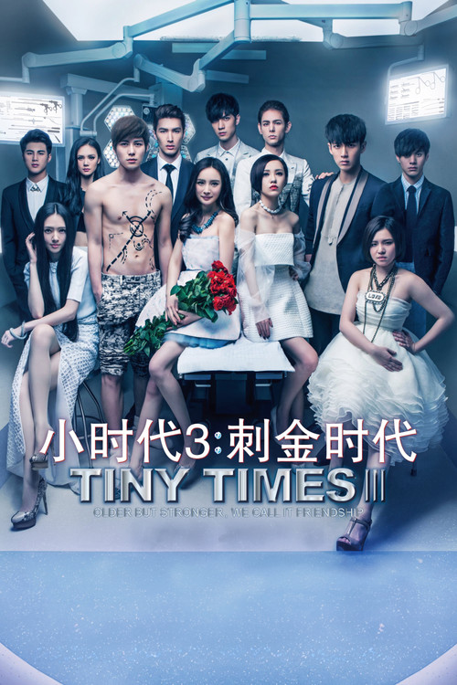 Movie poster for Tiny Times 3 (2014)