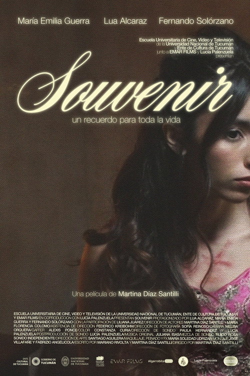 Movie poster for Souvenir (2025)