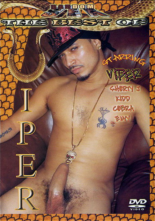 Movie poster for The Best of Viper (2009)
