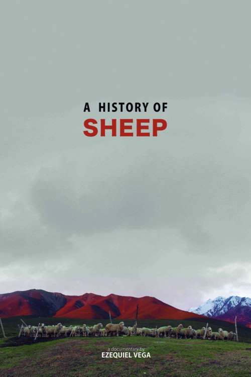 Movie poster for A History Of Sheep (2016)