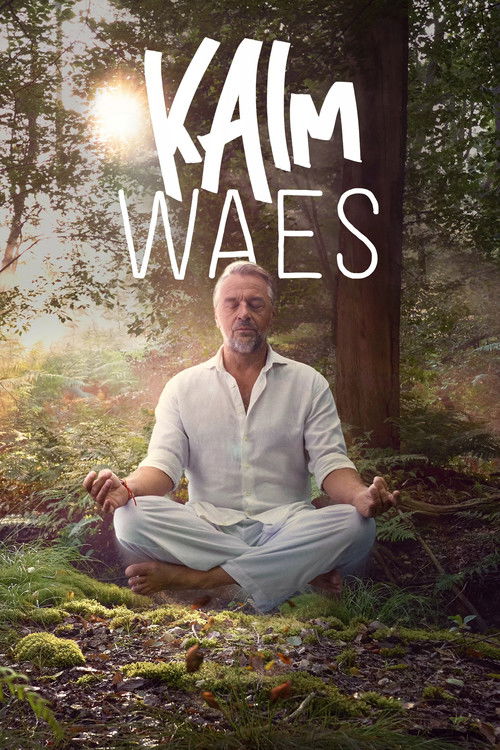 Kalm Waes poster